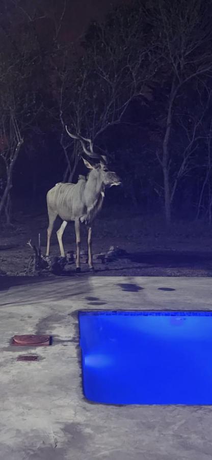 Wild Goose Hotel Marloth Park Buitenkant foto